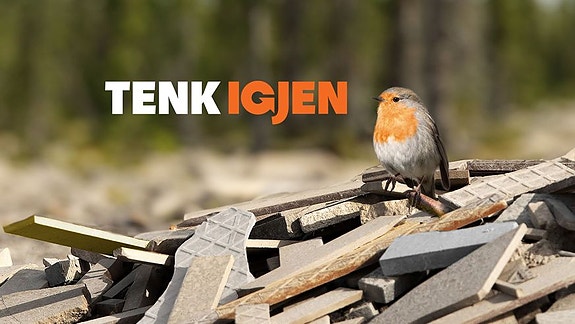 Bilde 5 av 6 i jobbannonse-galleriet