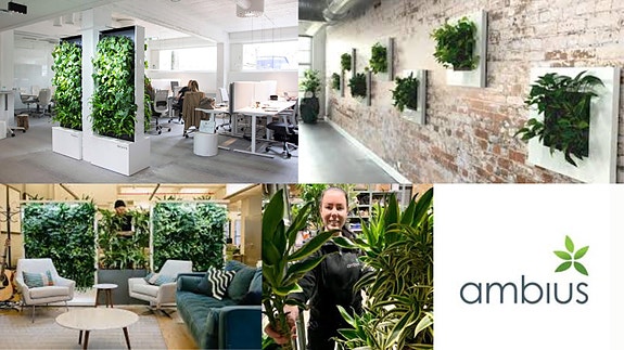 Bilde 2 av 5 i jobbannonse-galleriet