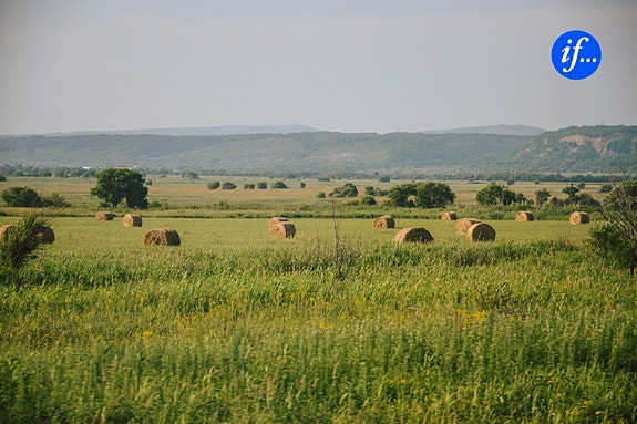 Bilde 3 av 4 i jobbannonse-galleriet
