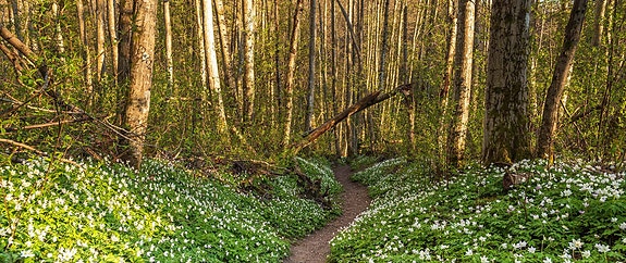 Akershus fylkeskommune, Bjertnes videregående skole logo