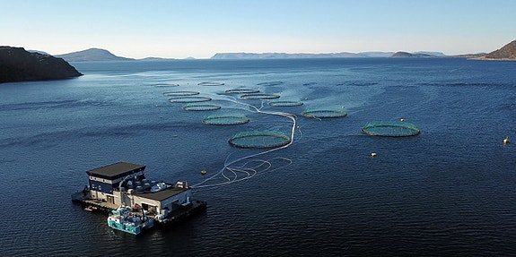 Bilde 4 av 5 i jobbannonse-galleriet