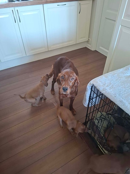 Product image 2 of 10