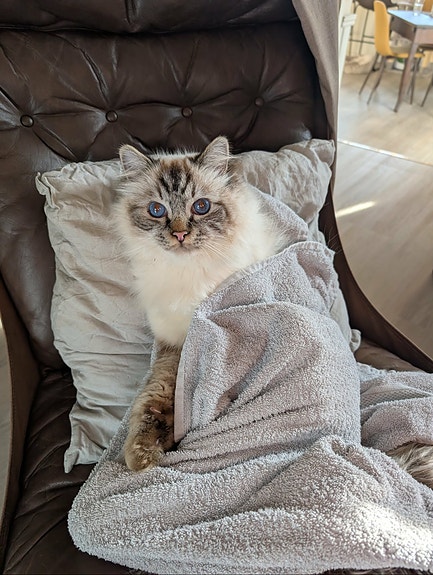 Product image 3 of 8