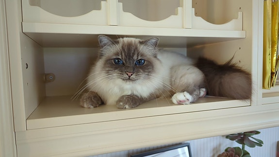 Product image 2 of 8