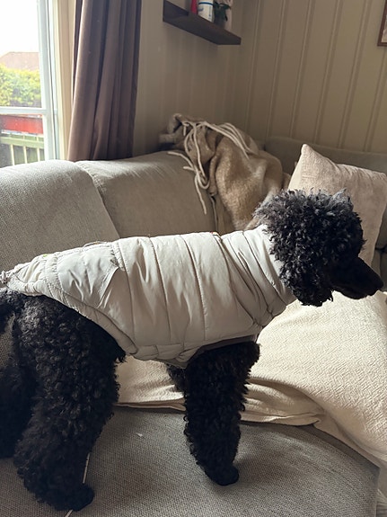 Product image 9 of 9