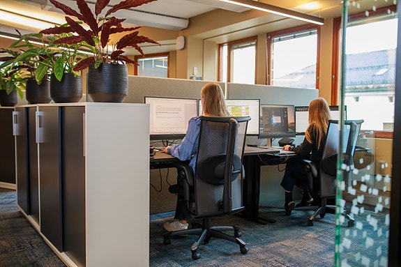 Bilde 2 av 4 i jobbannonse-galleriet