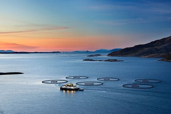 Bilde 1 av 3 i jobbannonse-galleriet