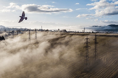 Bilde fra arbeidsgiver