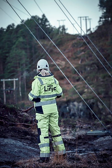 Bilde 1 av 2 i jobbannonse-galleriet