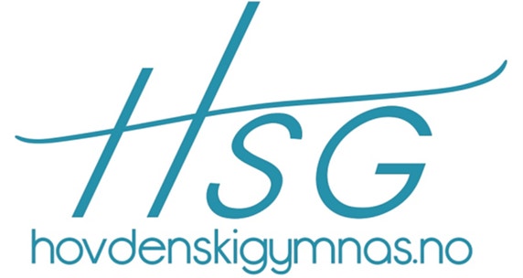 Hovden Skigymnas AS logo