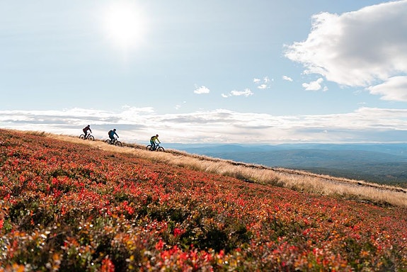 Bilde 7 av 8 i jobbannonse-galleriet