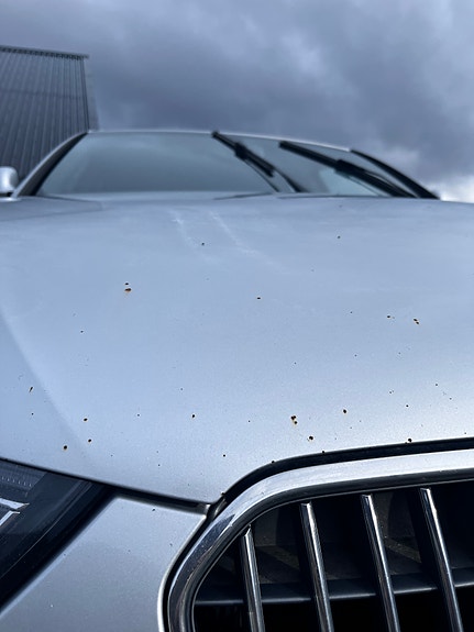 Audi A4 allroad 4 of 9