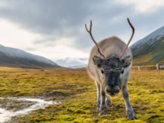 Bilde 1 av 1 i jobbannonse-galleriet