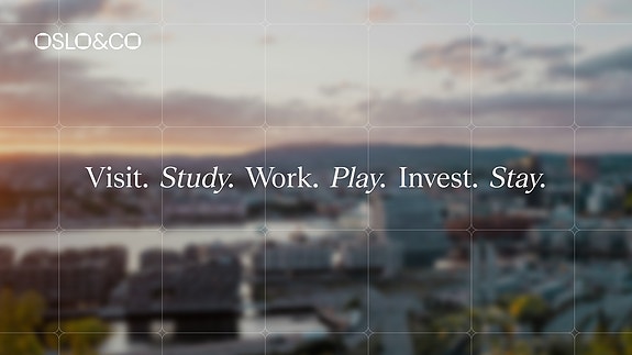 Bilde 1 av 2 i jobbannonse-galleriet