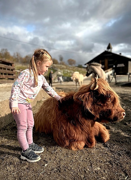 Bilde 7 av 7 i jobbannonse-galleriet
