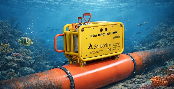 Bilde fra arbeidsgiver