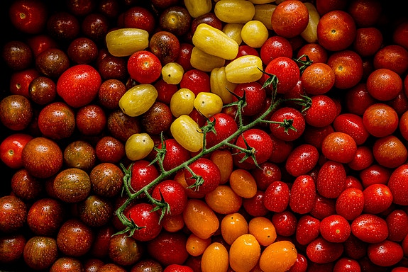 Bilde 1 av 2 i jobbannonse-galleriet