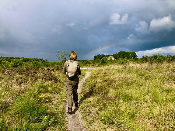 Bilde 1 av 1 i jobbannonse-galleriet