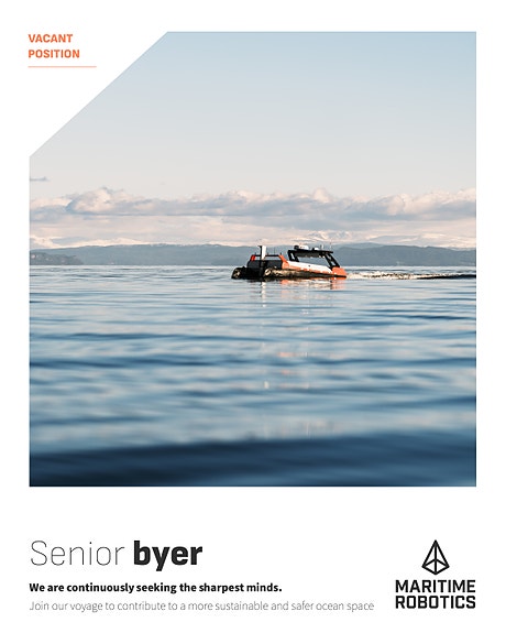 Bilde 1 av 1 i jobbannonse-galleriet