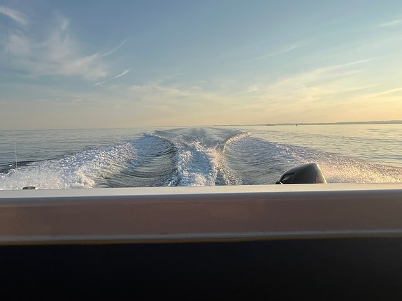 MAREX 330 CC  til salgs og sommerklar 3 of 5