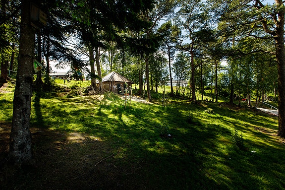 Bilde 3 av 5 i jobbannonse-galleriet