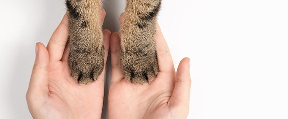 Bilde fra arbeidsgiver