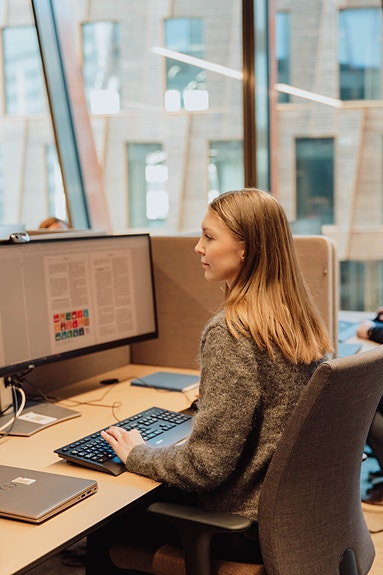 Bilde 1 av 5 i jobbannonse-galleriet