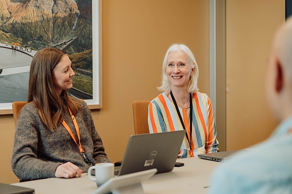 Bilde 4 av 5 i jobbannonse-galleriet