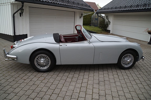 Jaguar XK 5 of 26