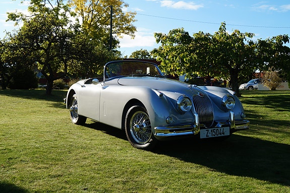 Jaguar XK 21 of 26