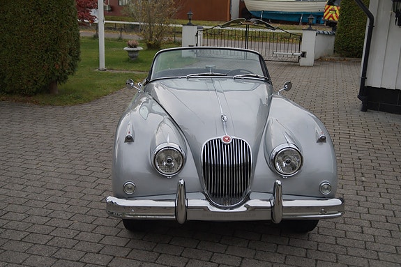 Jaguar XK 2 of 26