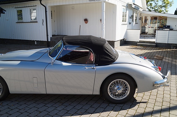 Jaguar XK 7 of 26