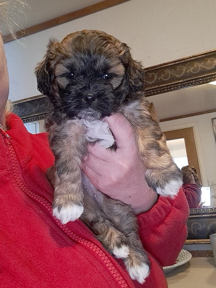 Product image 5 of 10