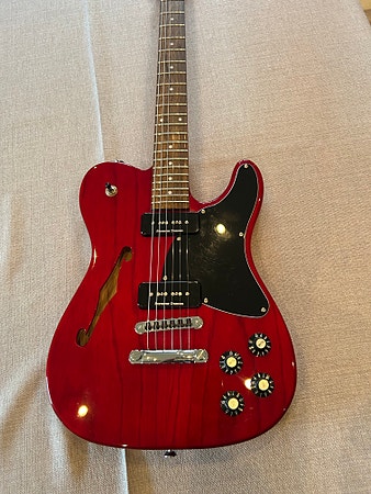 Fender Telecaster Thinline Jim Adkins