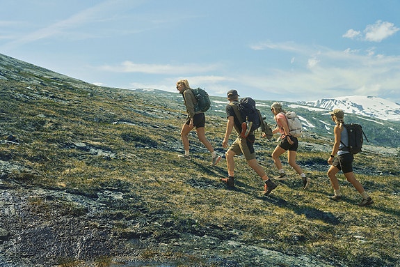 Bilde 1 av 5 i jobbannonse-galleriet