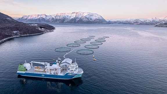 Bilde 1 av 9 i jobbannonse-galleriet