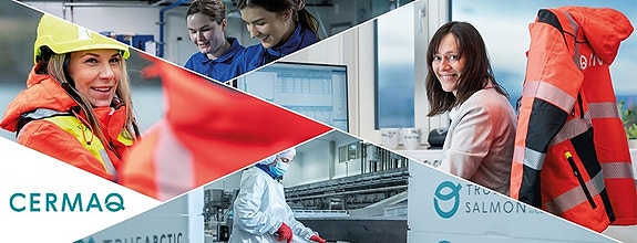 Bilde fra arbeidsgiver