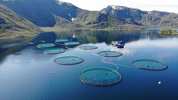 Bilde 7 av 9 i jobbannonse-galleriet