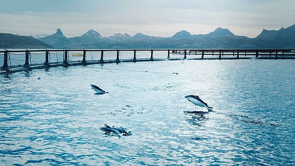 Bilde 2 av 9 i jobbannonse-galleriet