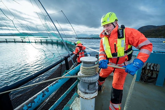 Bilde 4 av 9 i jobbannonse-galleriet