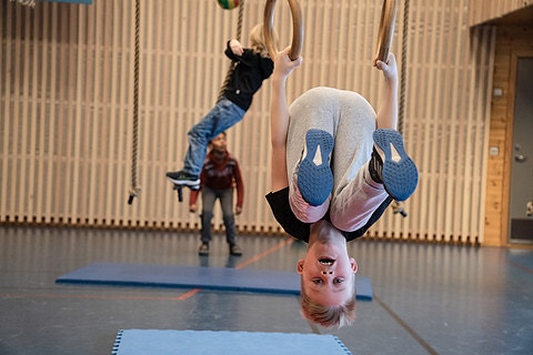 Bilde 3 av 3 i jobbannonse-galleriet