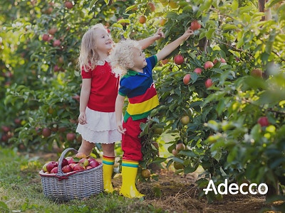 Bilde 3 av 3 i jobbannonse-galleriet