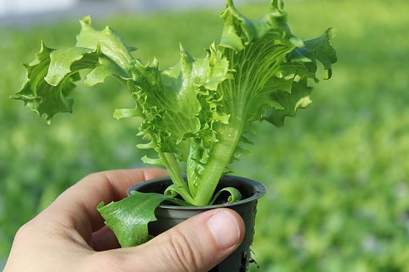 Bilde 3 av 4 i jobbannonse-galleriet