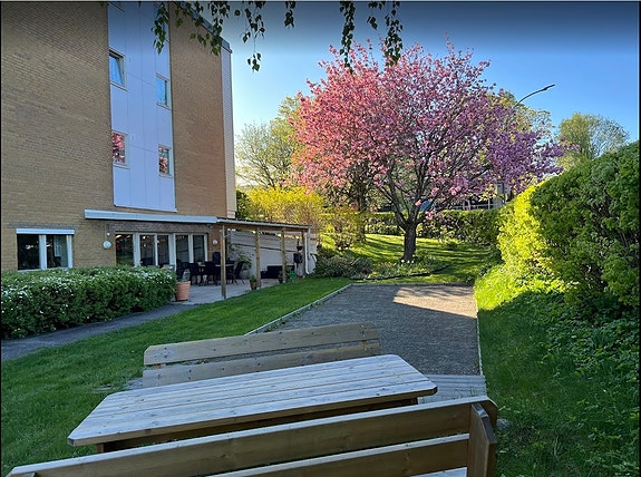 Bilde 1 av 4 i jobbannonse-galleriet