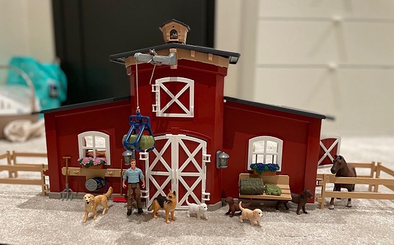 Product image 4 of 10