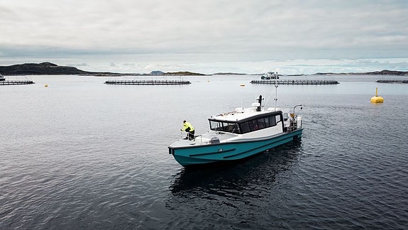 Bilde 2 av 3 i jobbannonse-galleriet