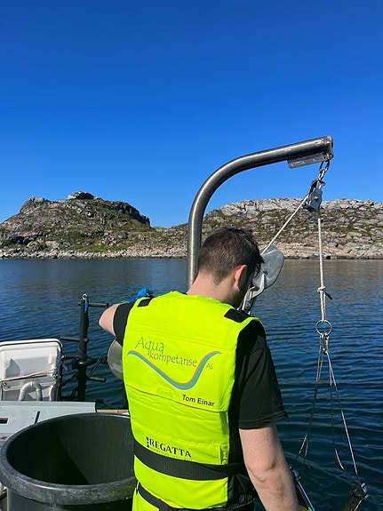 Bilde 3 av 3 i jobbannonse-galleriet