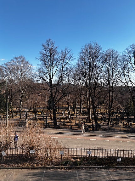 Utsikten vår rett før det spirer.