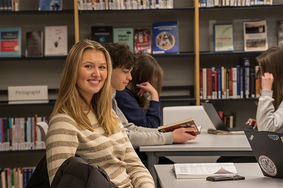 Buskerud fylkeskommune, Buskerud videregående skole logo