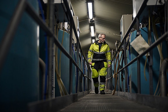 Bilde 1 av 3 i jobbannonse-galleriet